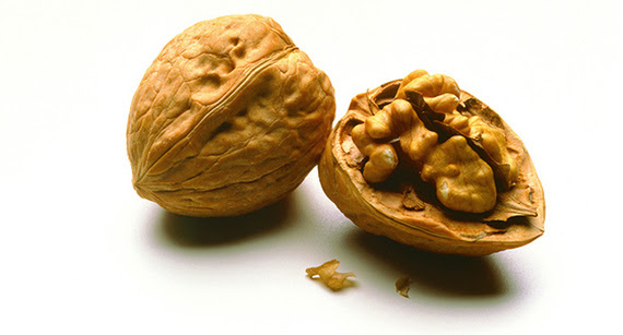 Deciphering the Walnut Genome
