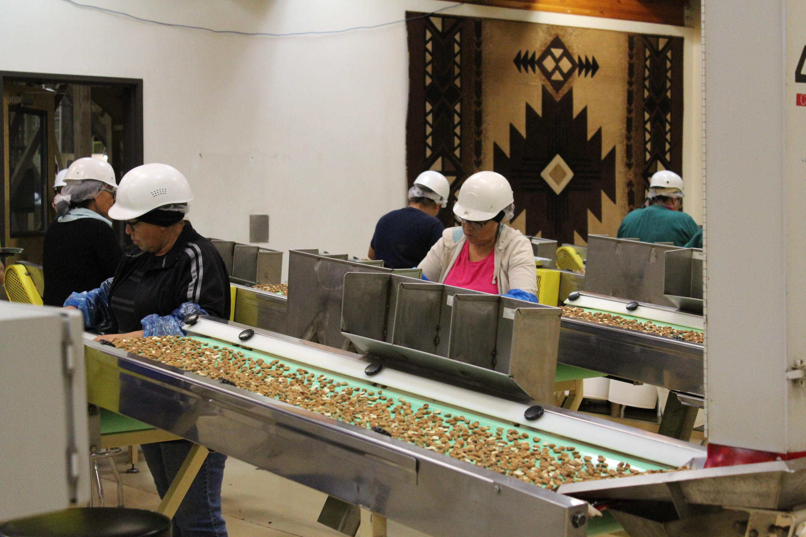 FDA Announces Enforcement Discretion Policy for Almonds in Action Applauded by the Almond Alliance
