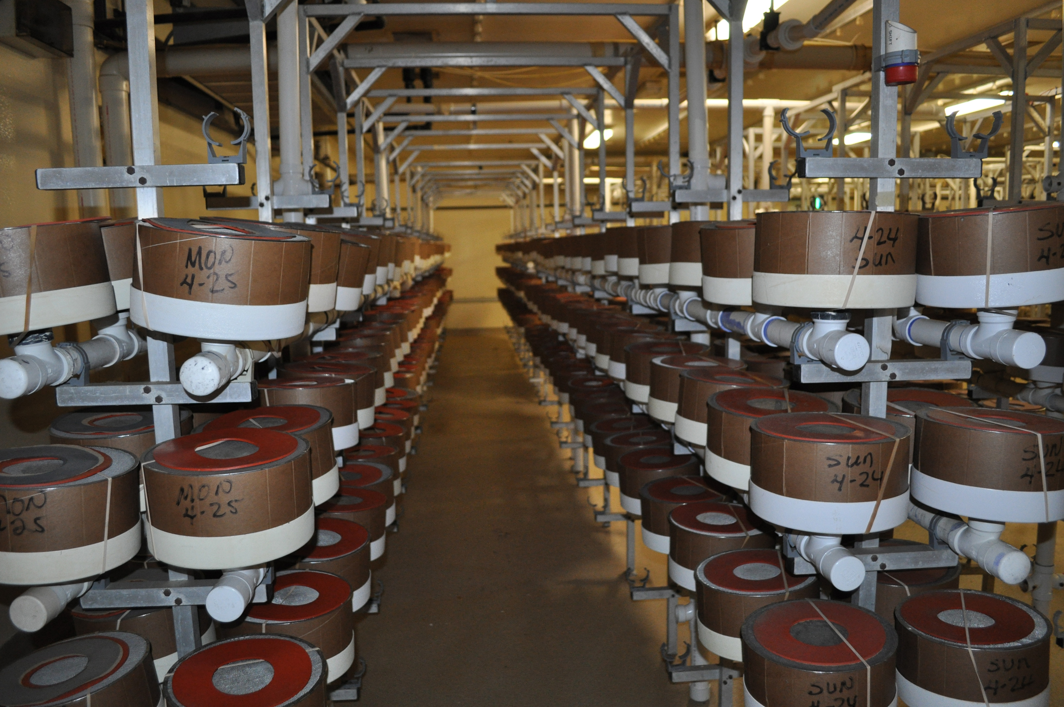 Sterile Insect Facility to Aid Growers with Navel Orangeworm Management