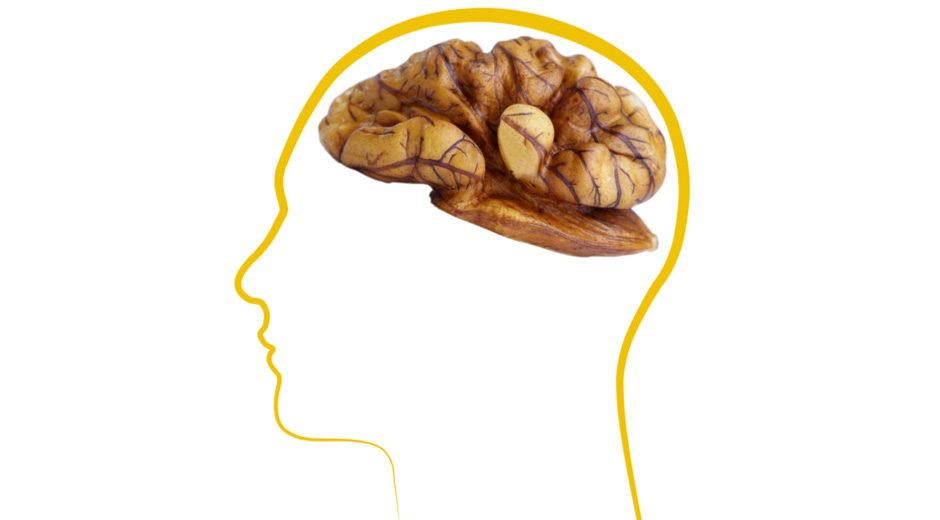New Research Explores Walnuts & Mental Health