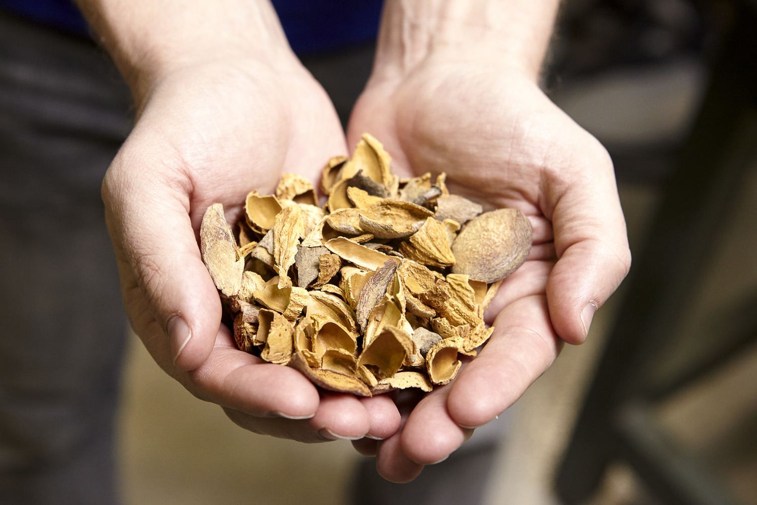 Almond Board of CA Explores Options for Exporting Almond Biomass