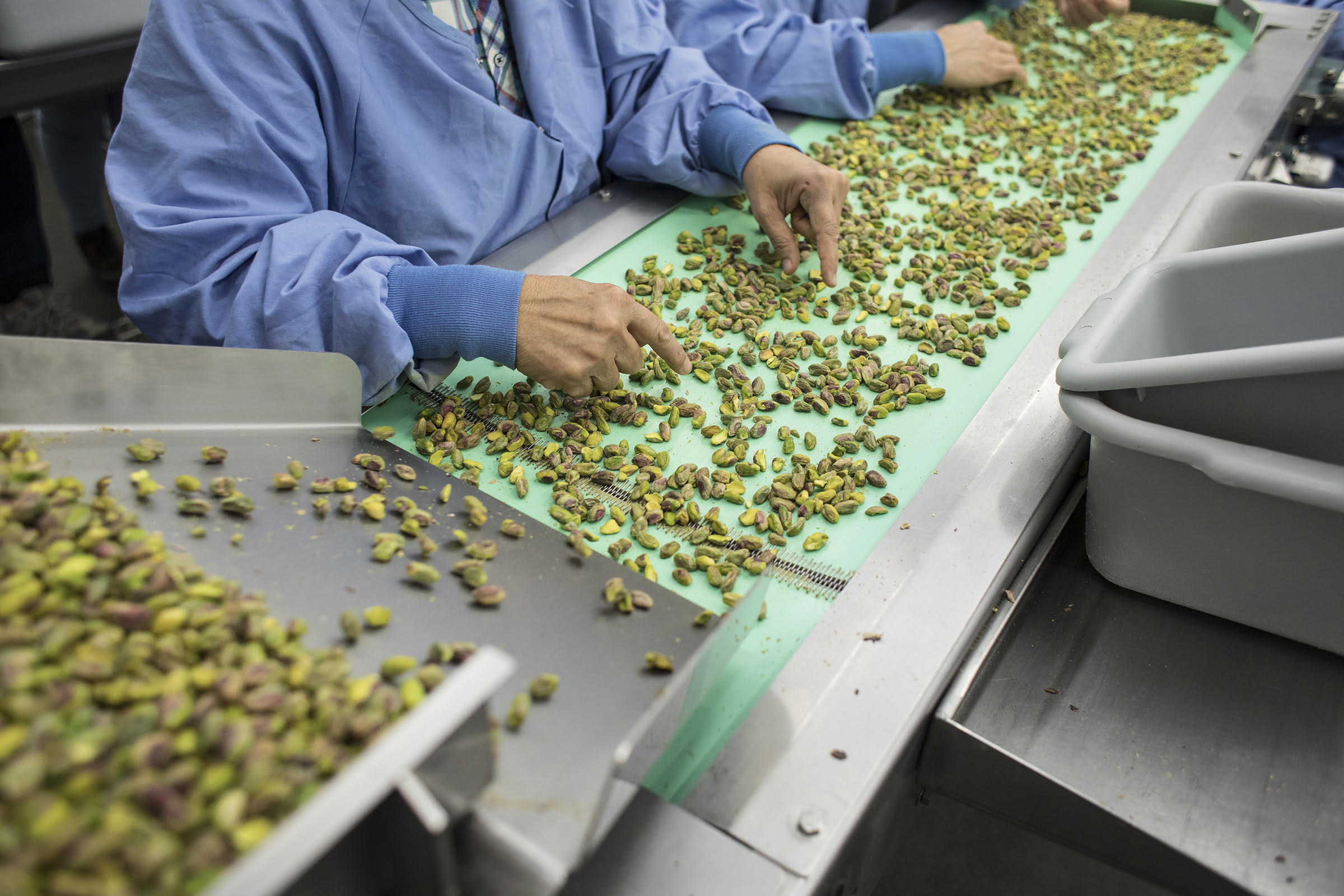 US Pistachio Shipments Remain Strong Despite Increased Tariffs
