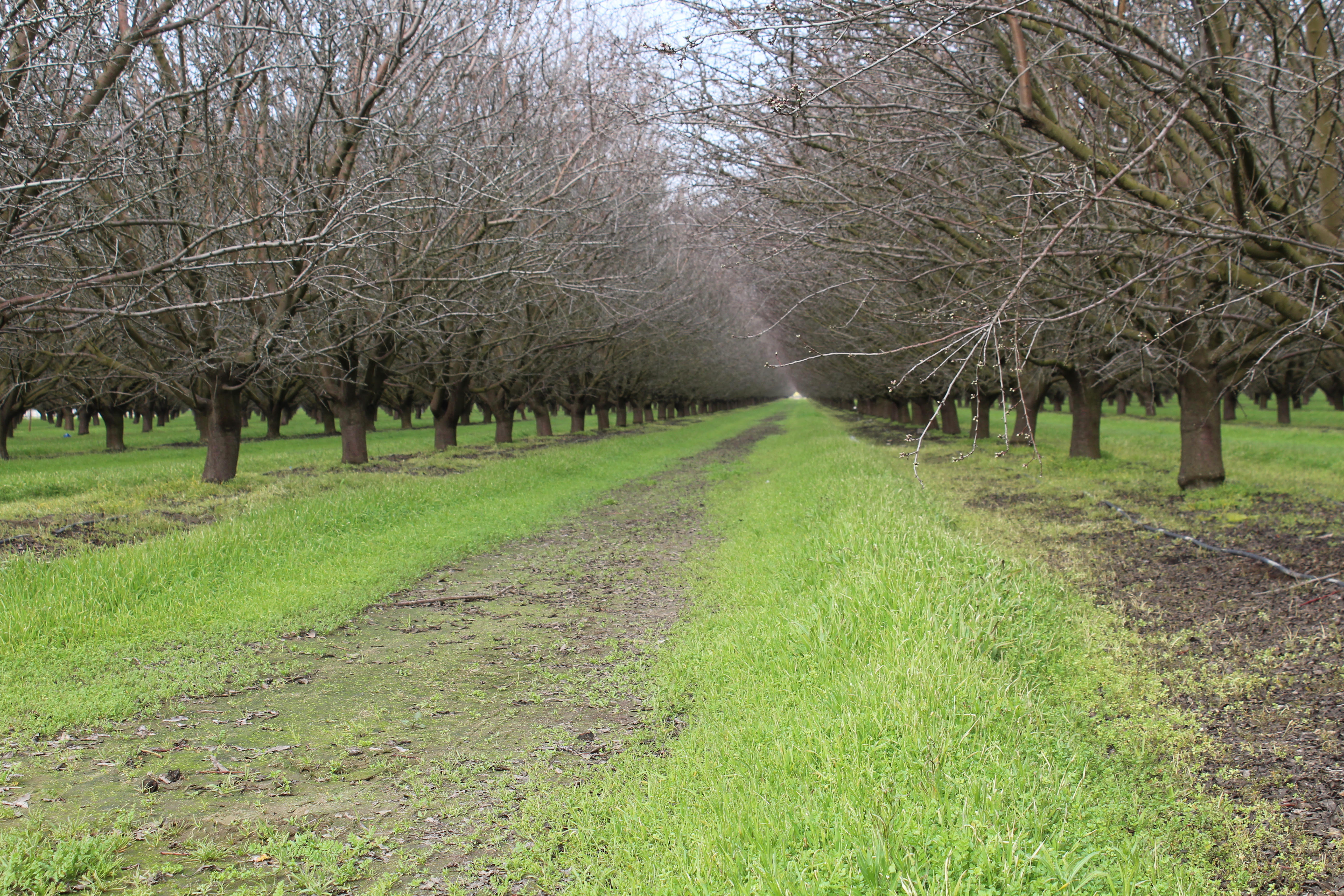 New Studies Show Soil Health Practices Increase Farm Profitability