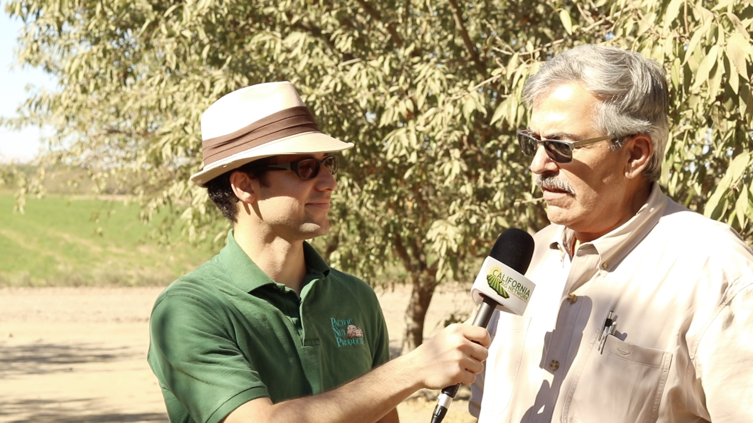 California Almond Harvest Update with Blue Diamond Growers