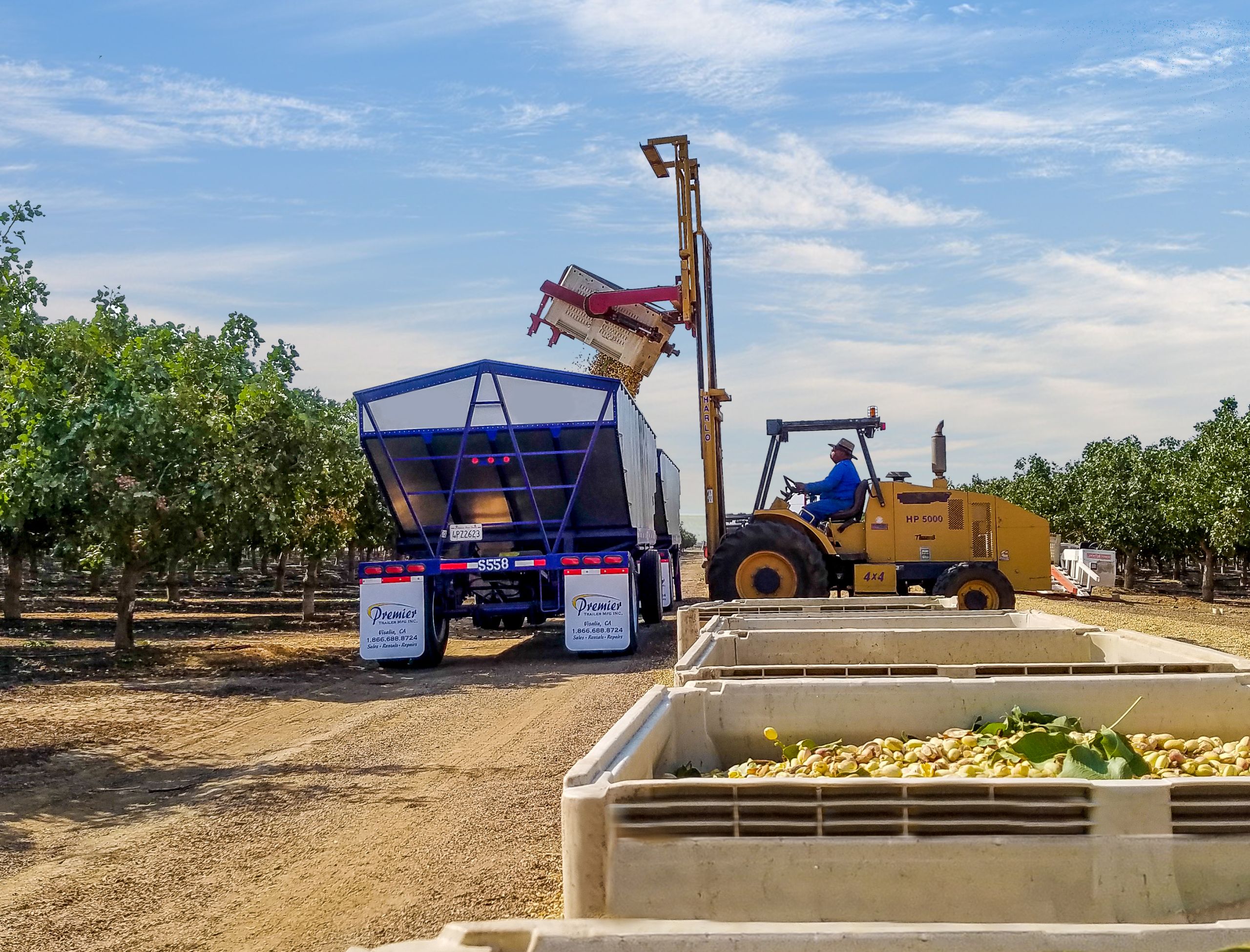 Pistachio Supply & Demand Trends with Richard Matoian — Record Shipments