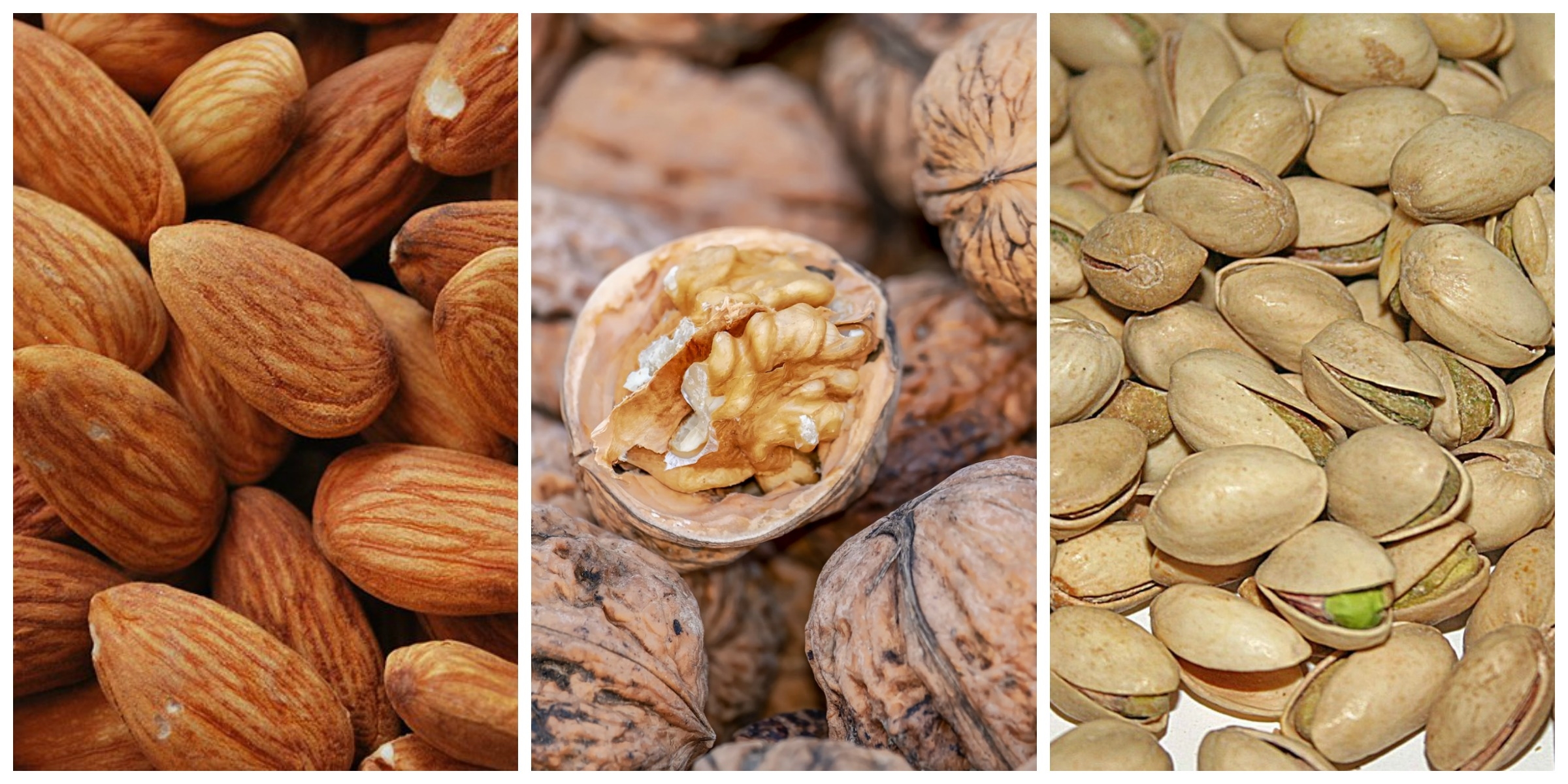 CA Nut Industry Funds Four New UC Cooperative Extension Research Positions