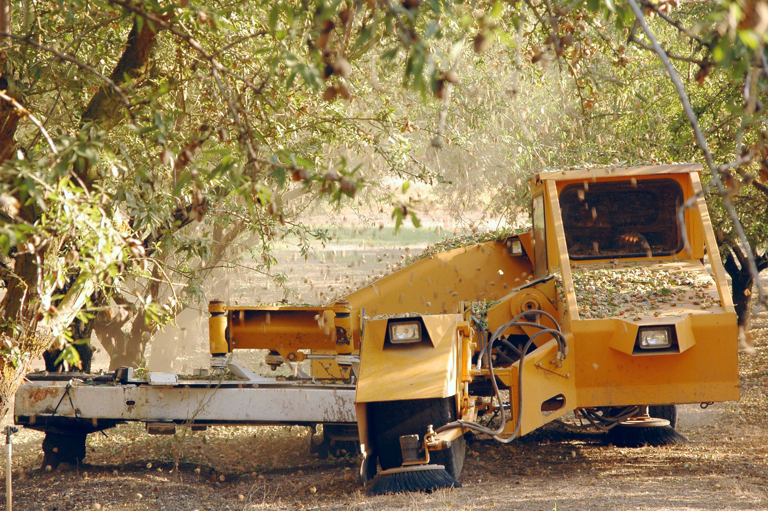 Incentive Programs Make New Equipment Affordable