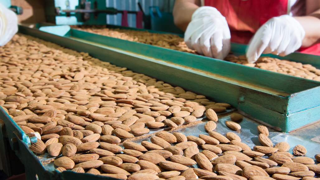 Resources for Employers Amidst COVID-19 Outbreaks at Ag Facilities