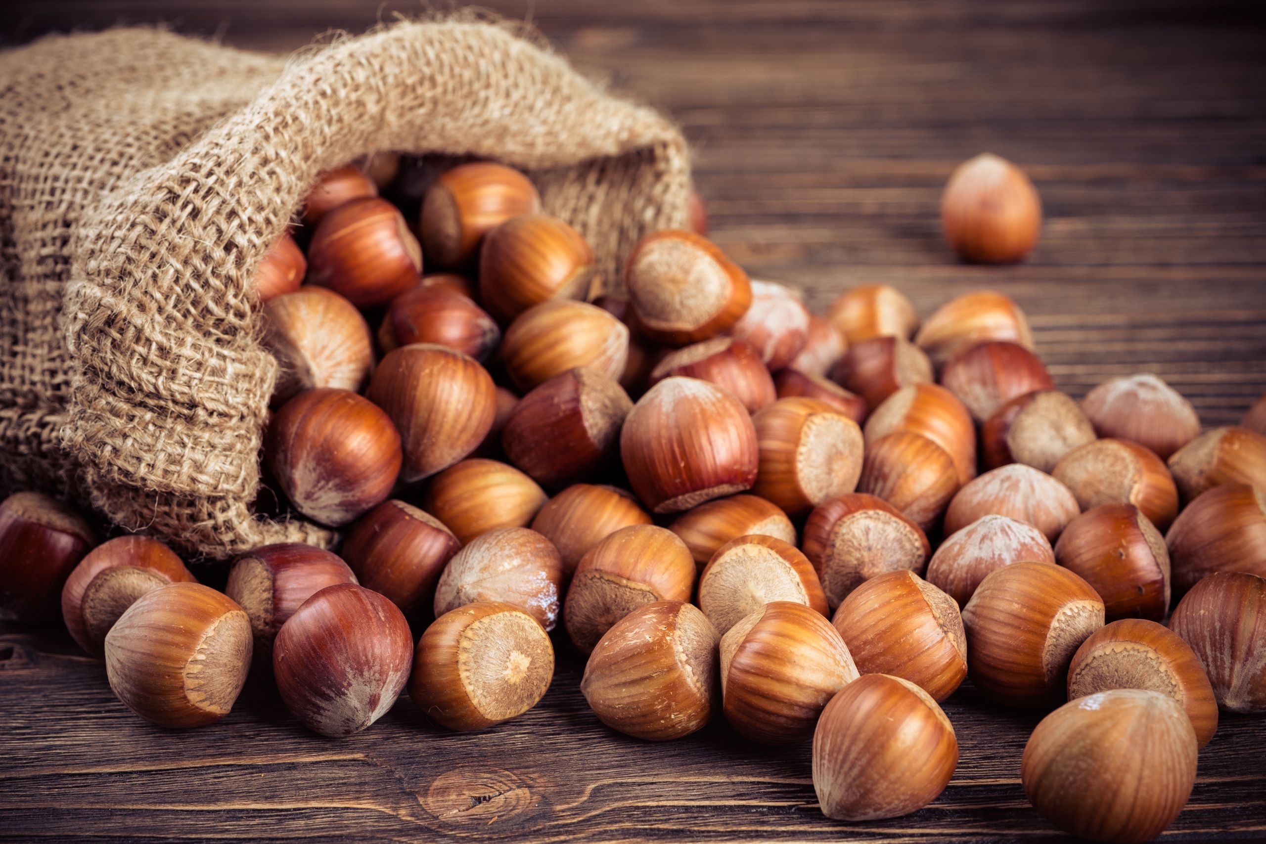 Hazelnut Marketing Board Projects Record Crop in Oregon