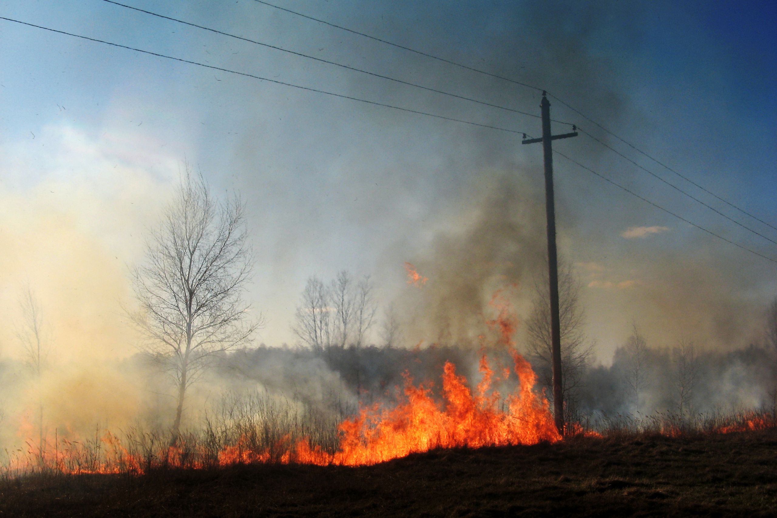 Protecting Workers from Unhealthy Air Due to Wildfire Smoke