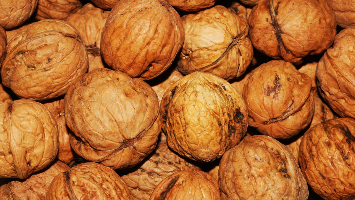 More USDA Walnut Purchases Requested Amidst Pandemic