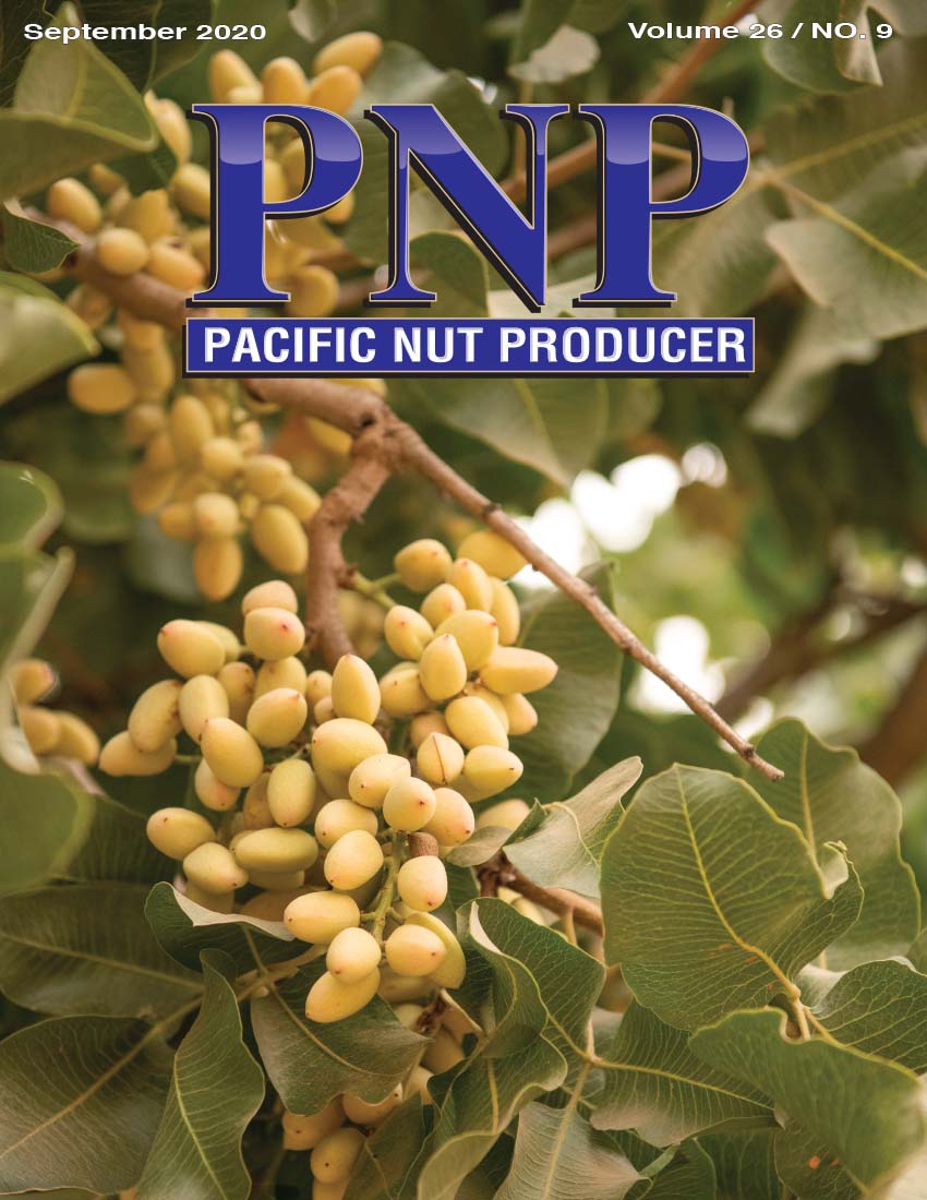 Pacific Nut Producer September Issue