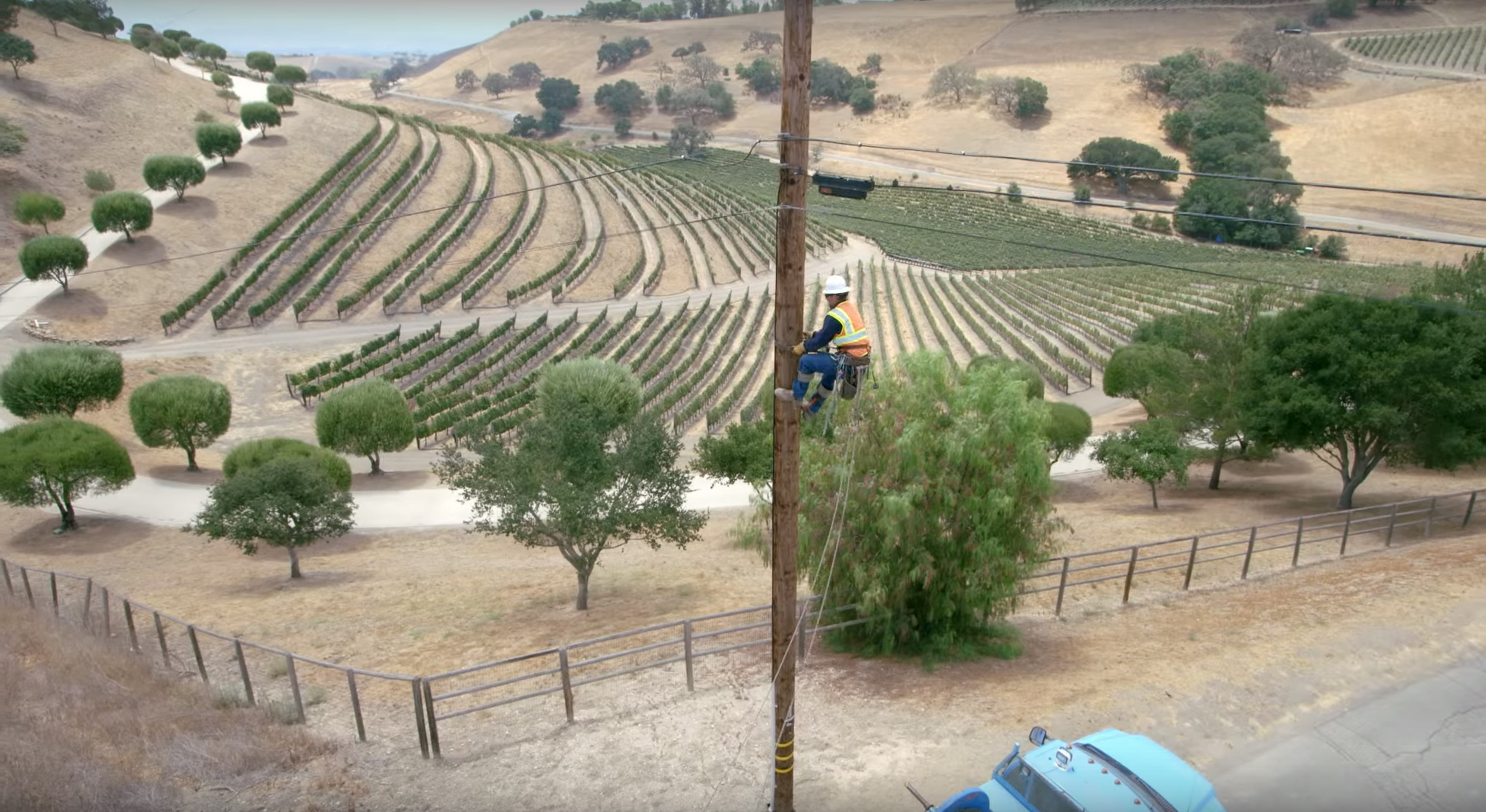 Growers who Contact PG&E Before Planting can Prevent Loss of Trees – and Lives
