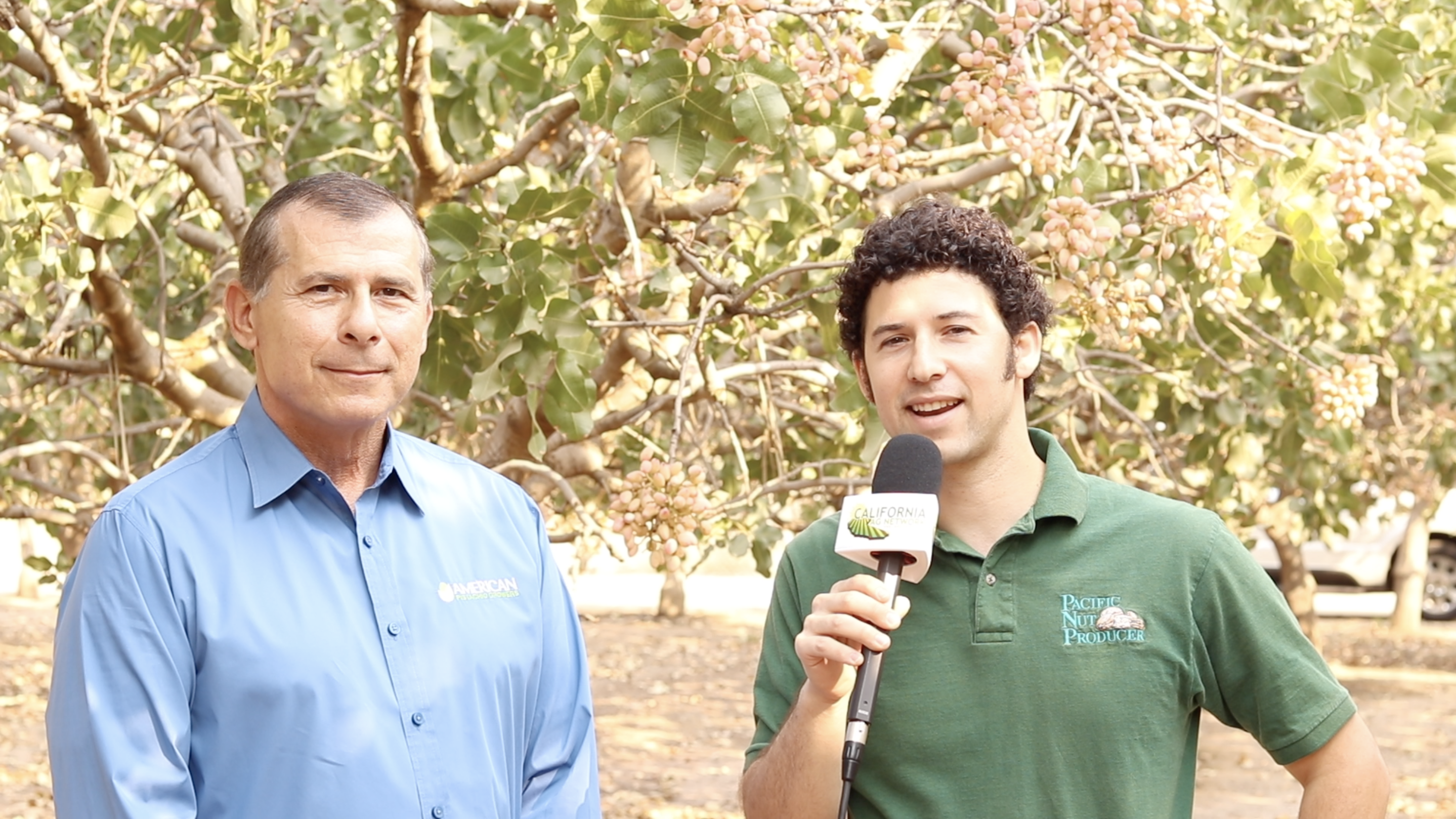 Four Things All Pistachio Growers Should Know This Harvest