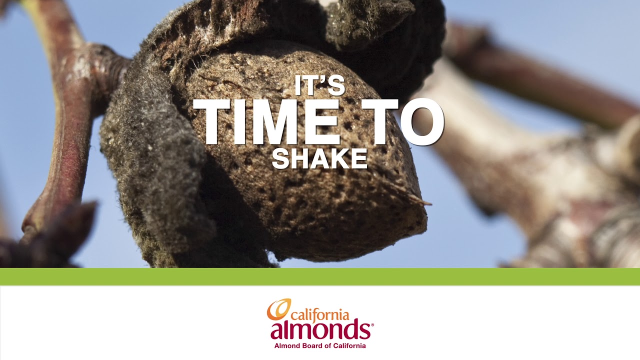 Almond Board Mummy Shake Video Contest