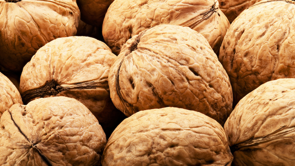 California Walnut Credit-Back Referendum