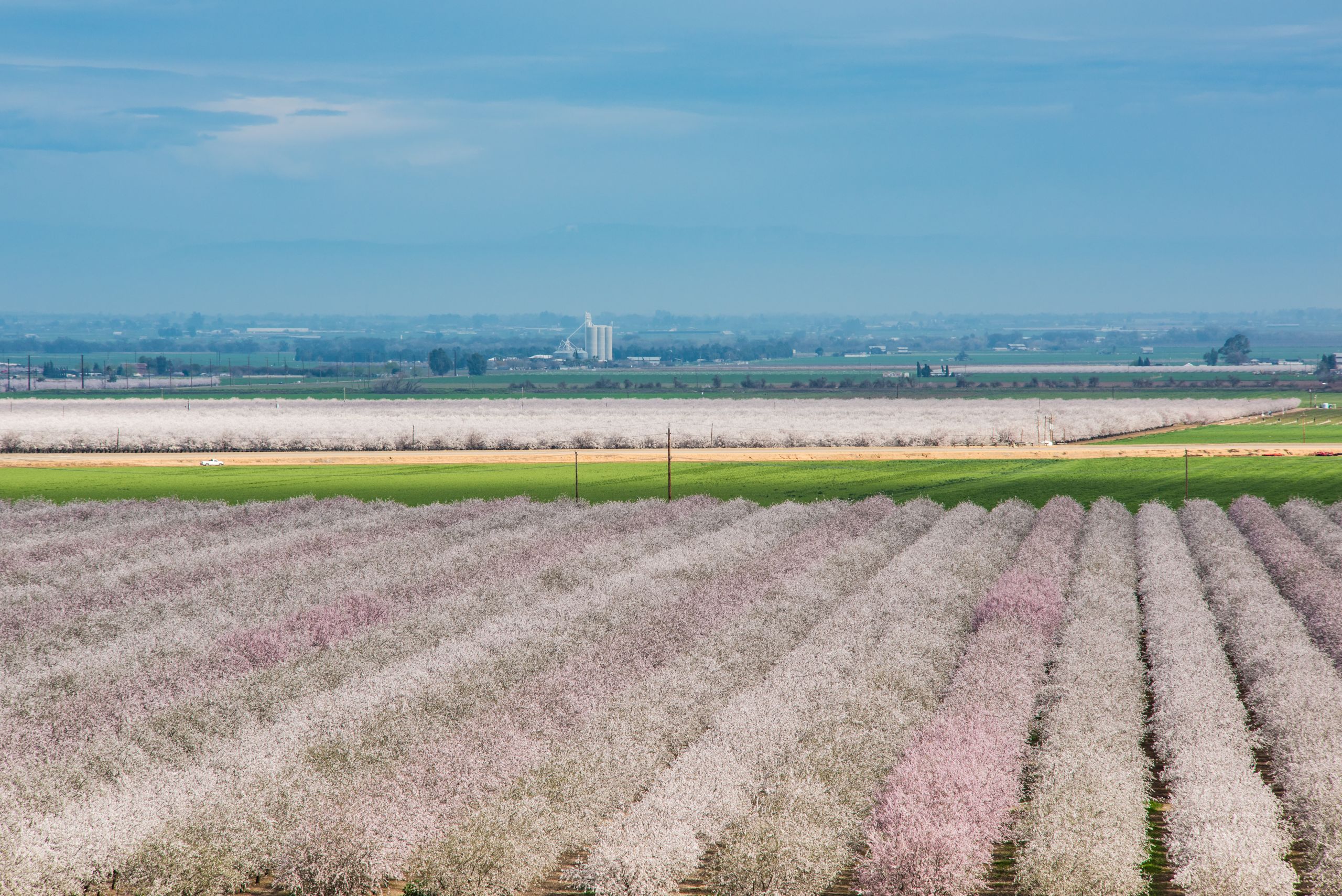 Fresno Ranked #1 Ag County in the Nation, Led by Almonds