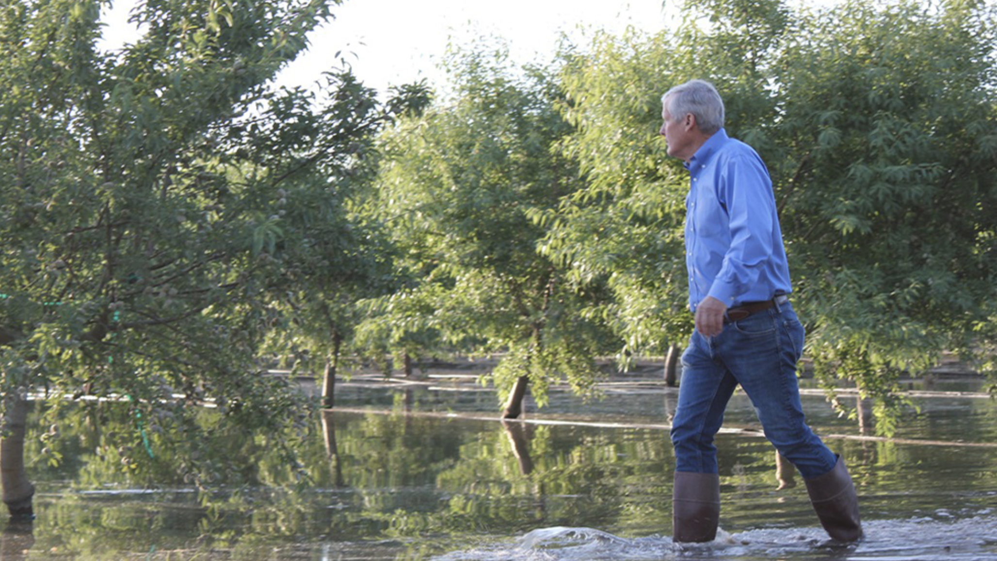 How to Maximize Groundwater Recharge, Addressed at Upcoming Almond Conference
