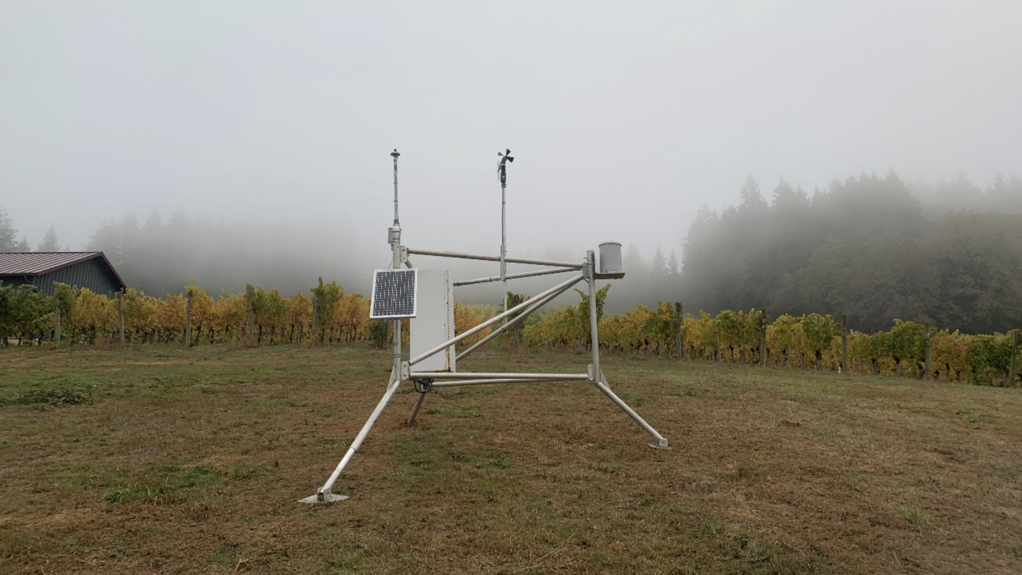 OSU’s Woodhall Vineyard Serves as New South Willamette Valley Public Weather Data Source