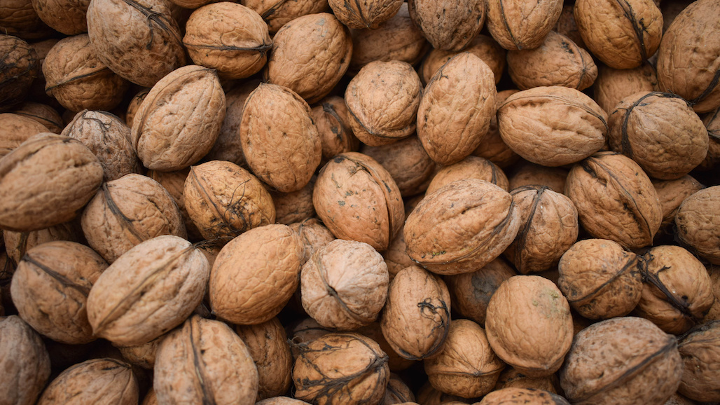 Walnut Prices: What Growers Can Expect in the Near Future