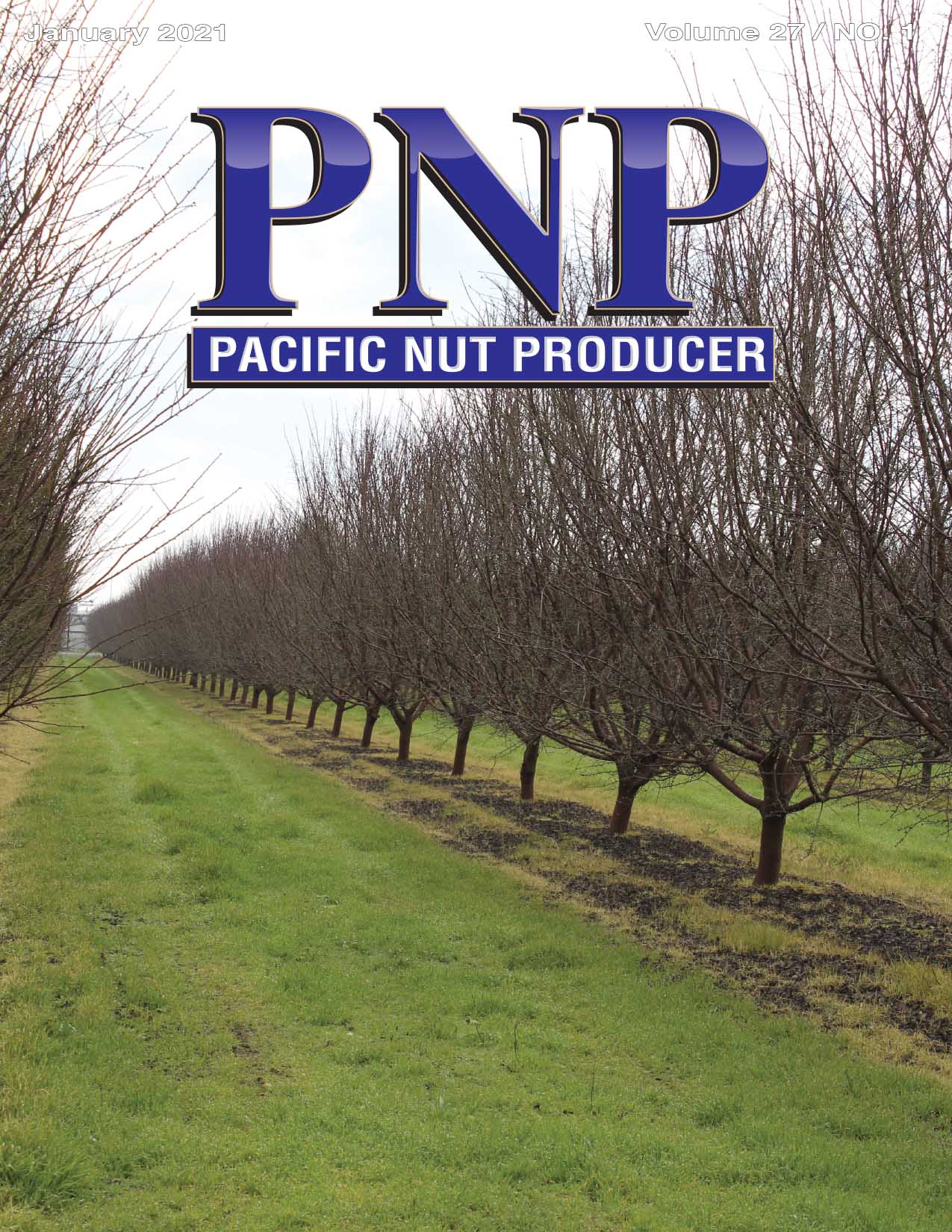 Pacific Nut Producer January Issue