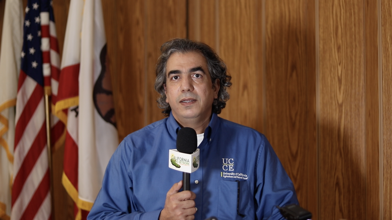 Managing Phytophthora Diseases in Almond: Aerial, Root & Crown Rot