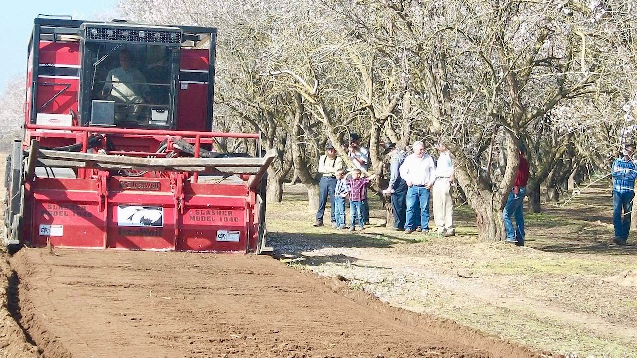 Whole Orchard Recycling and Its Impact on Future Plantings