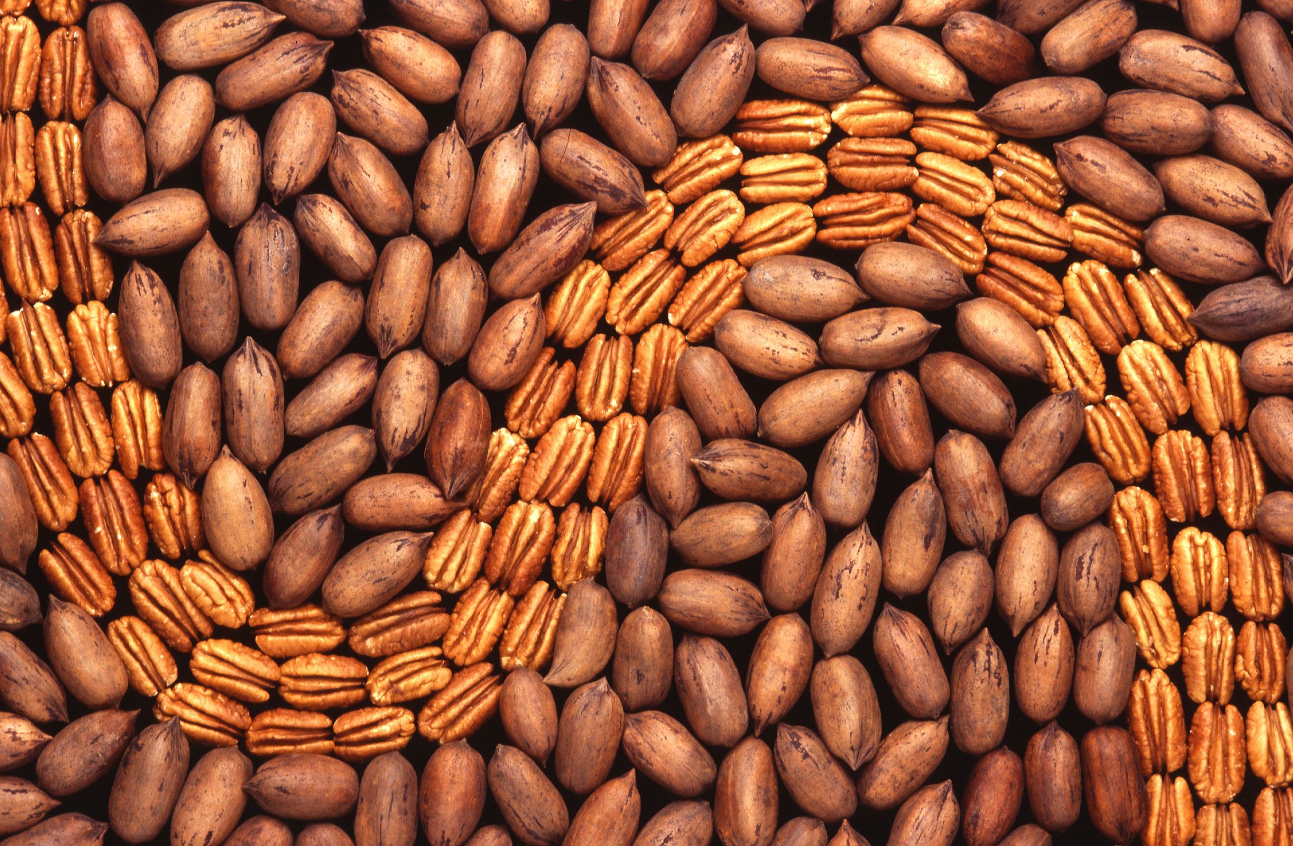 USDA Seeks Nominees for American Pecan Promotion Board