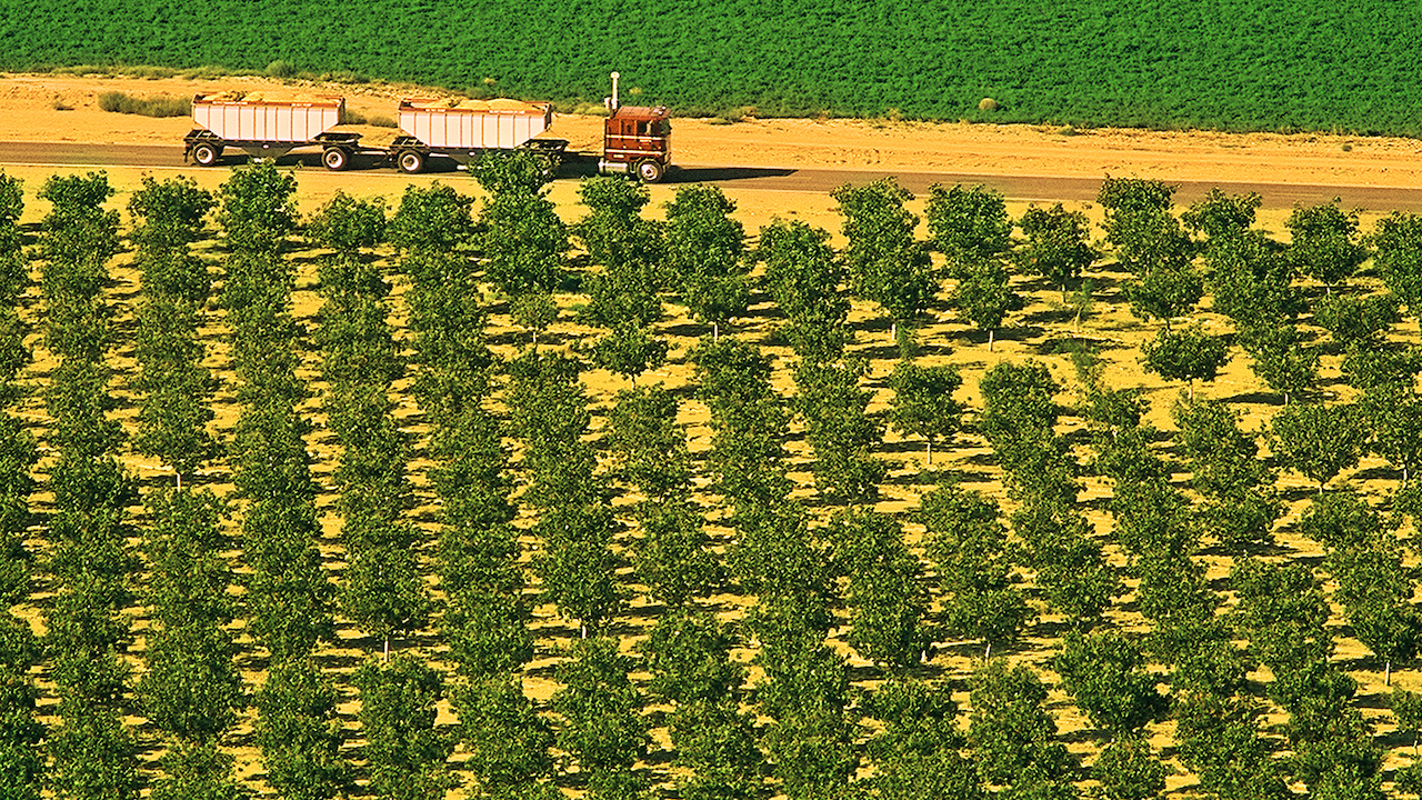 Satellite Imagery Reveals Startling Difference in Pistachio Bearing Acreage