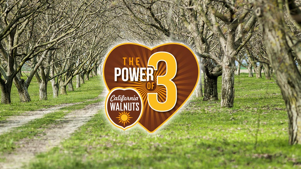 CA Walnuts to Launch Global Marketing Initiative with Coordinated “Power of 3” Events across the Globe