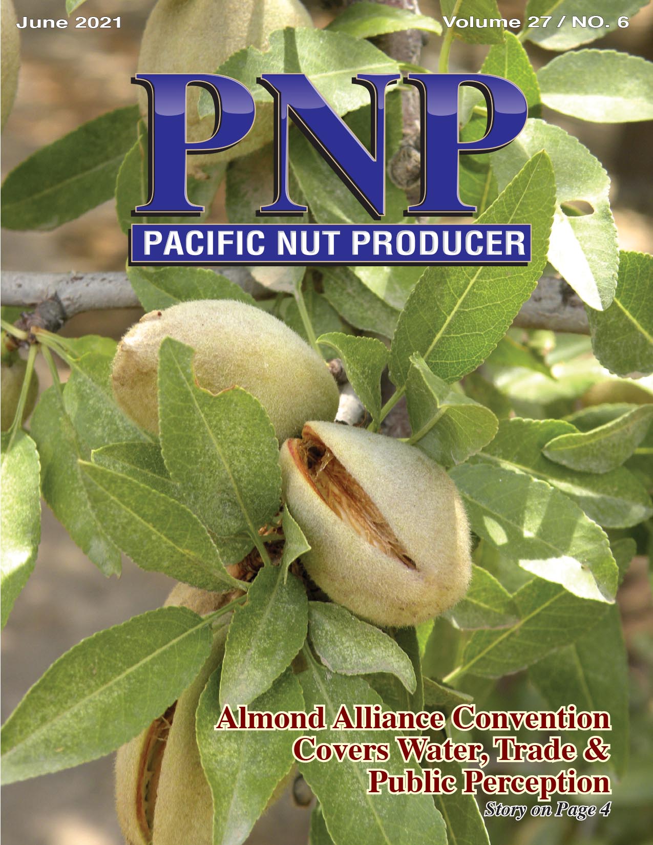 Pacific Nut Producer June Issue