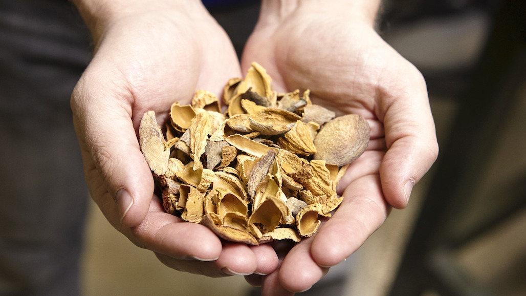 FARM Act Funding for Pilot Programs to Produce Biocarbon Products from Tree Nuts