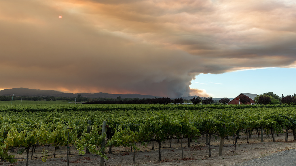 Washington Issues Rules to Protect Farm Workers from Wildfire Smoke