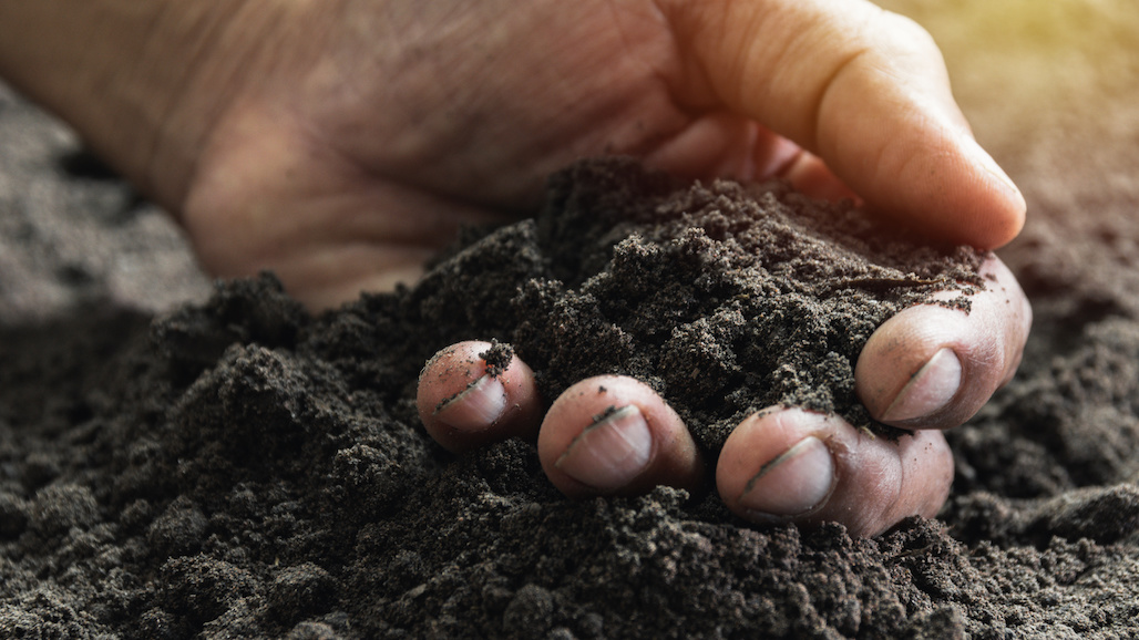 American Farmland Trust Shares Soil Health Economic Calculator with Customized Almond Version