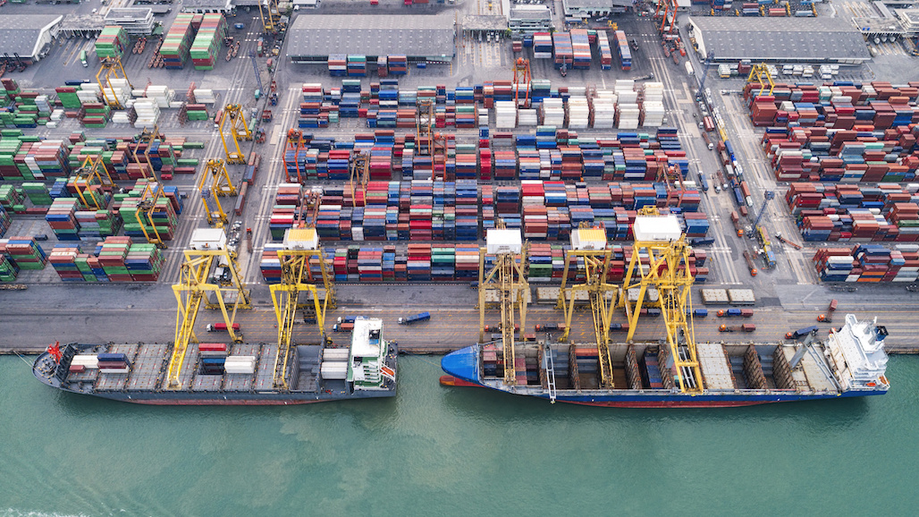 Losses in Over 20% of Sales due to Continued Port Congestion