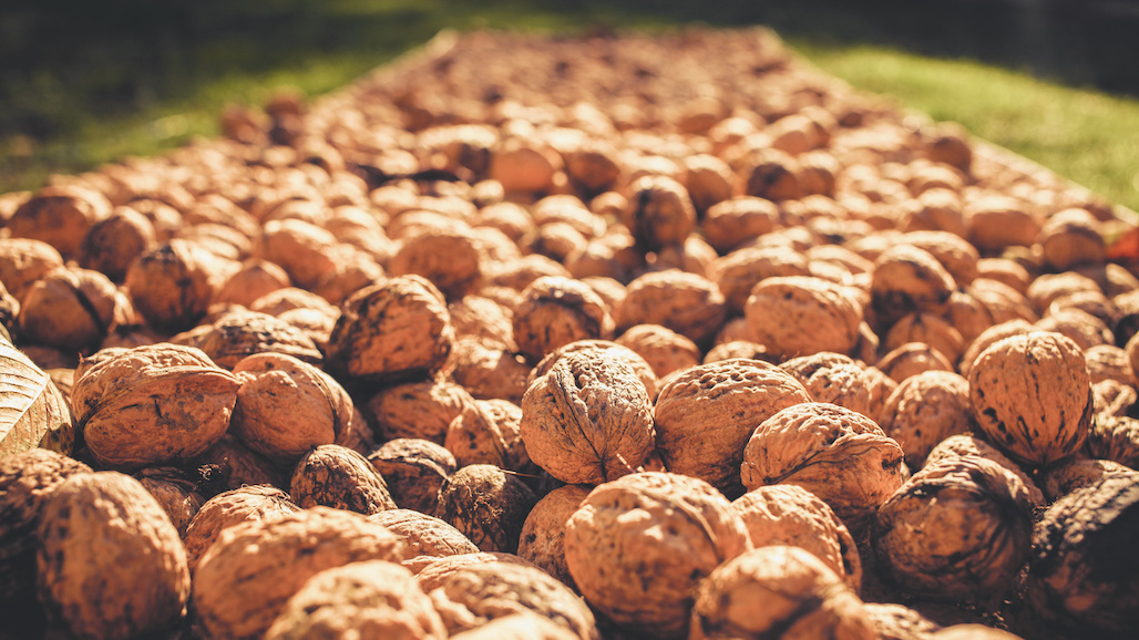 CDFA 2020 Walnut Crop Report & Average Prices