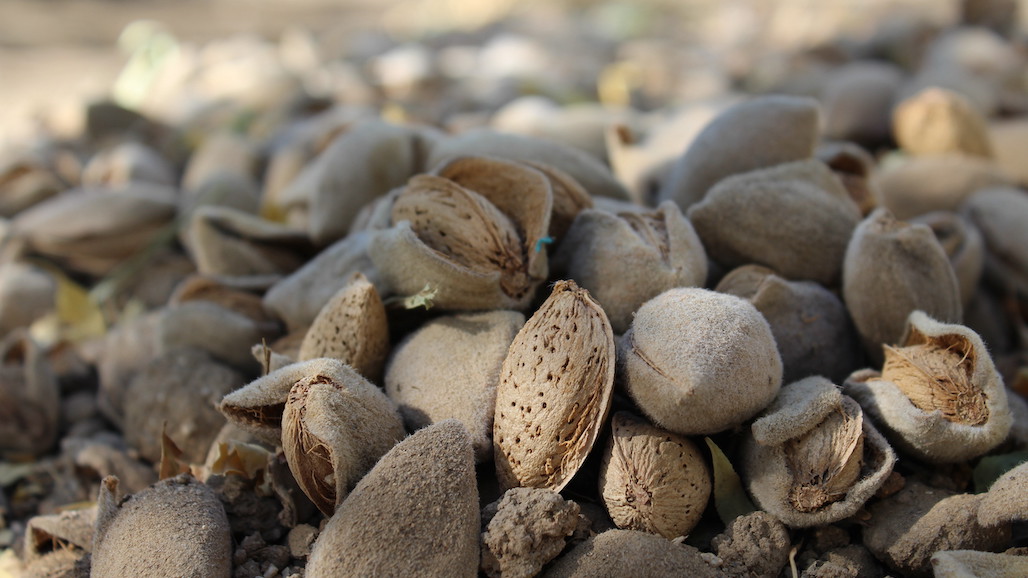 The Health and Sustainability Message of Almonds Influences EU Consumers