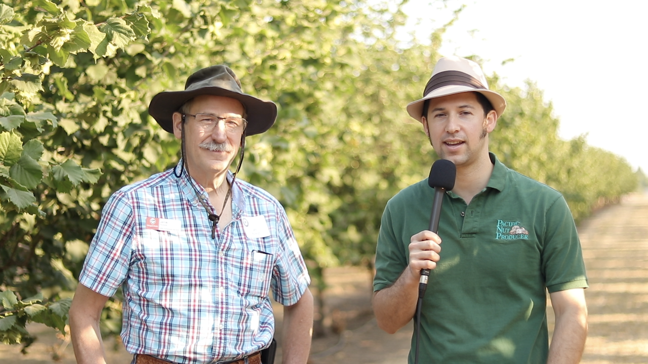 Bacterial Blight Becoming Most Costly Disease for Hazelnut Growers