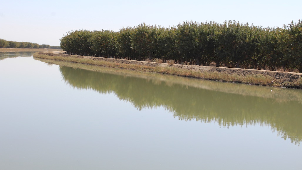 EPA Fines SJV Almond Grower for Clean Water Act Violations, Orders Restoration of Wetlands