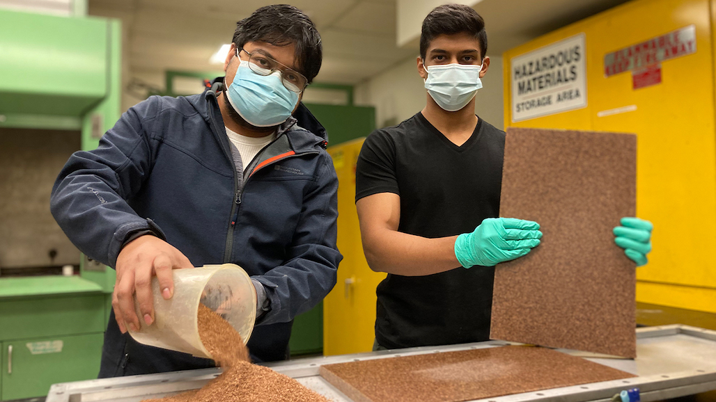 Hazelnut Shells Get New Life as Strong, Sustainable Panels