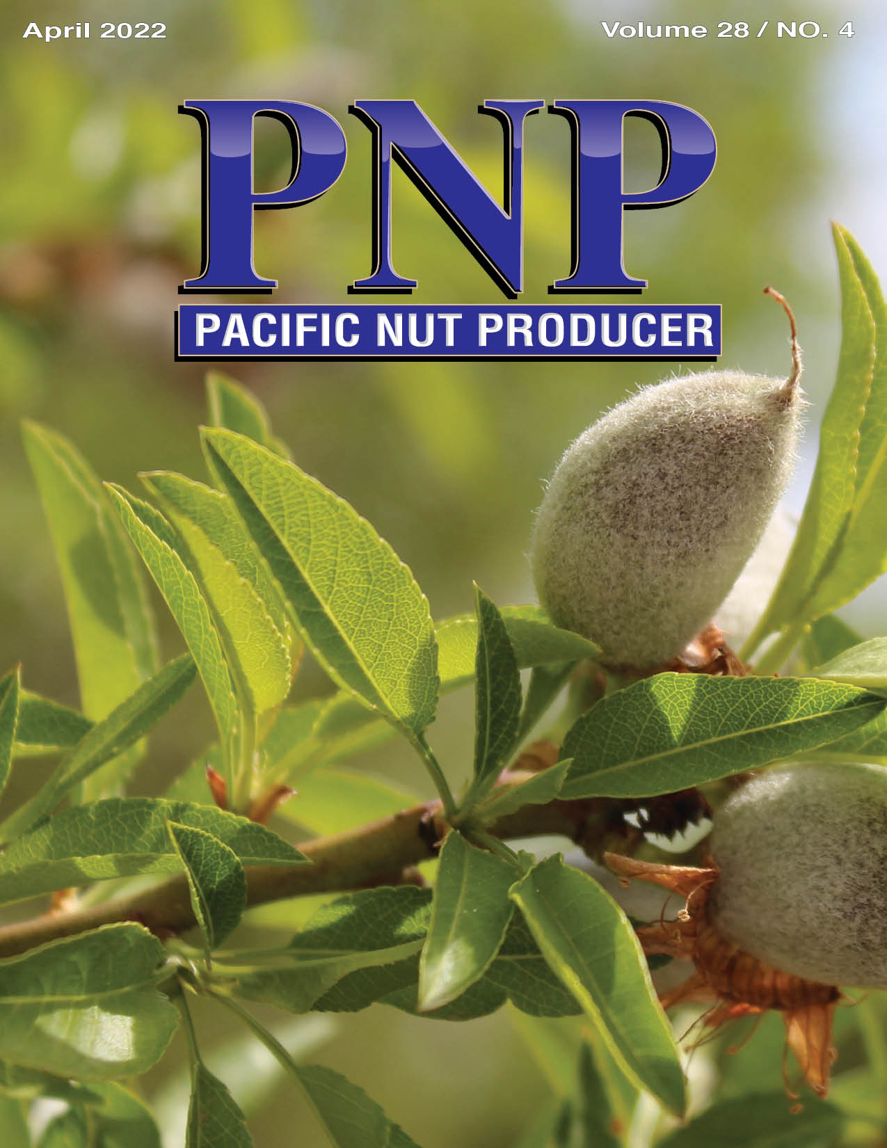 Pacific Nut Producer April Issue