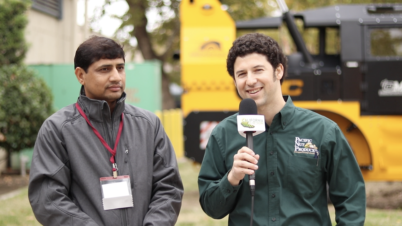 Growers Limited to Insecticides for Control of Walnut Husk Fly