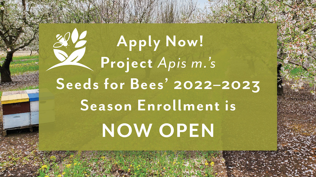 Project Apis m.’s Seeds for Bees’ 2022–2023 Season Open Enrollment Launched!