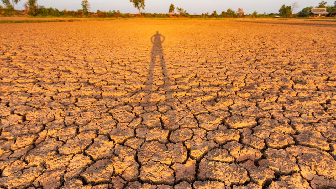 California Ag Coalition Requests Immediate State Action on Water Needs