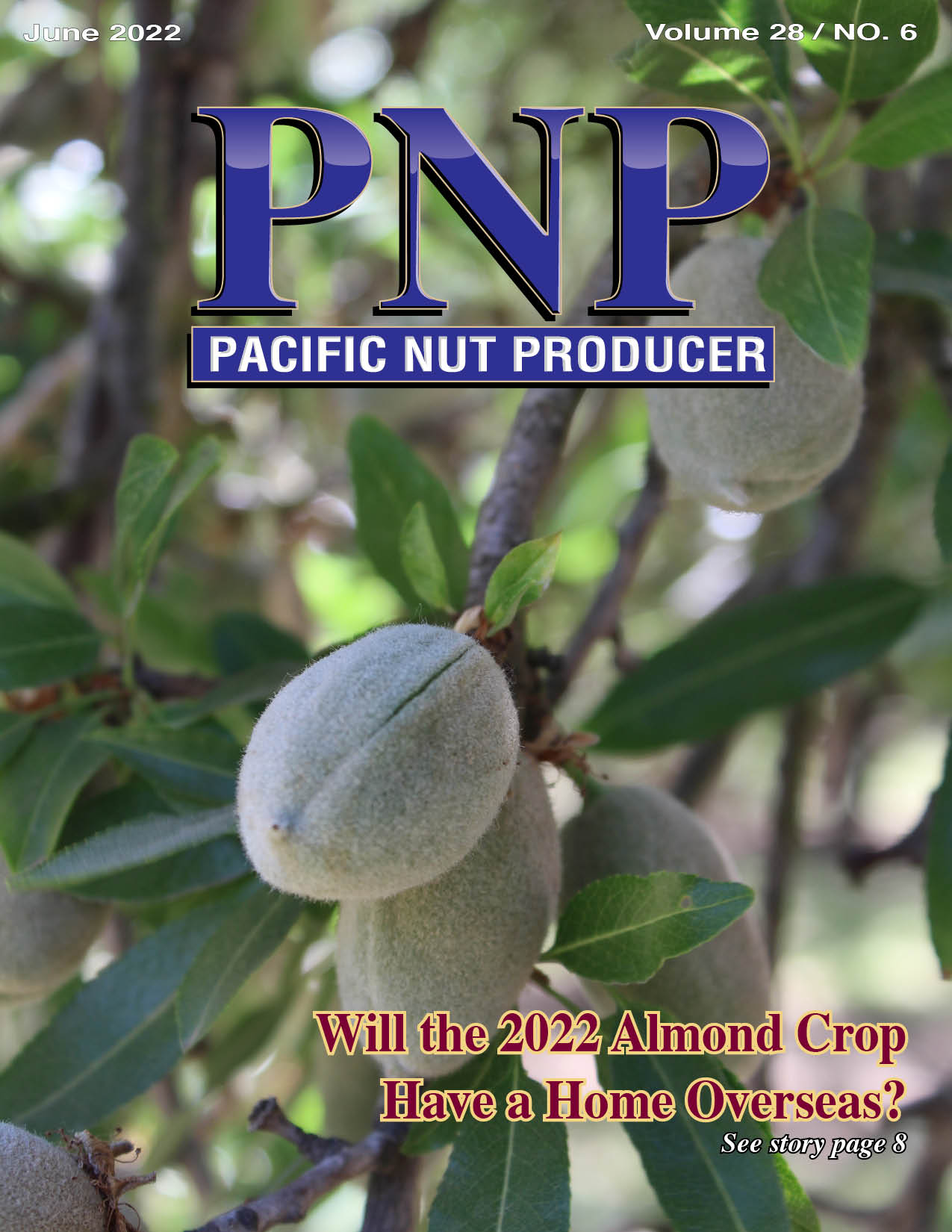 Pacific Nut Producer June Issue