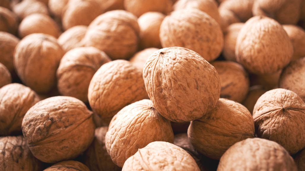 Robert Verloop Named CEO of California Walnut Board and California Walnut Commission