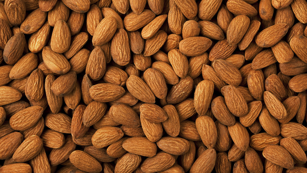 Almond Board of California Announces 2022 Election Results