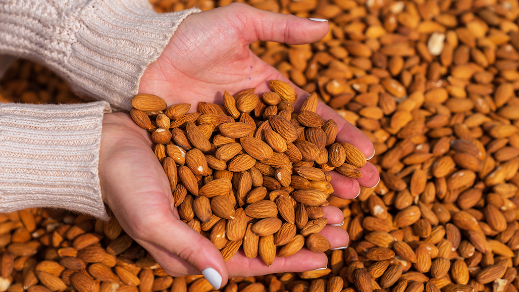Effort Secures Federal Procurement Program for Almonds