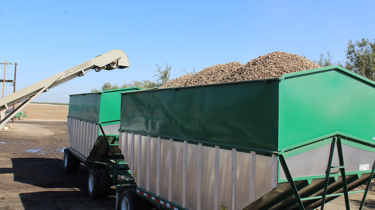 What Growers & Handlers Should Know about Preventing Tree Nut Theft