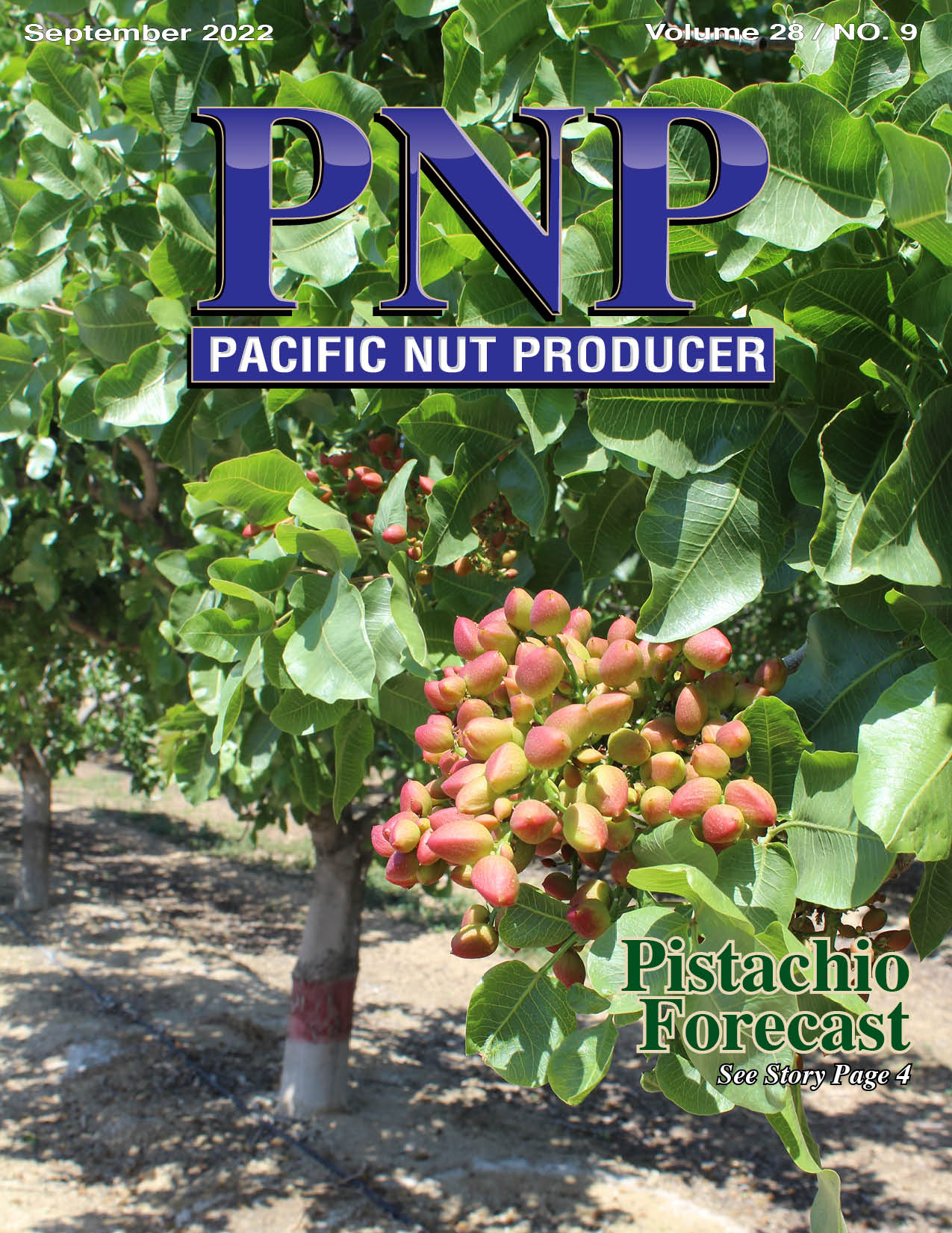 Pacific Nut Producer September Issue